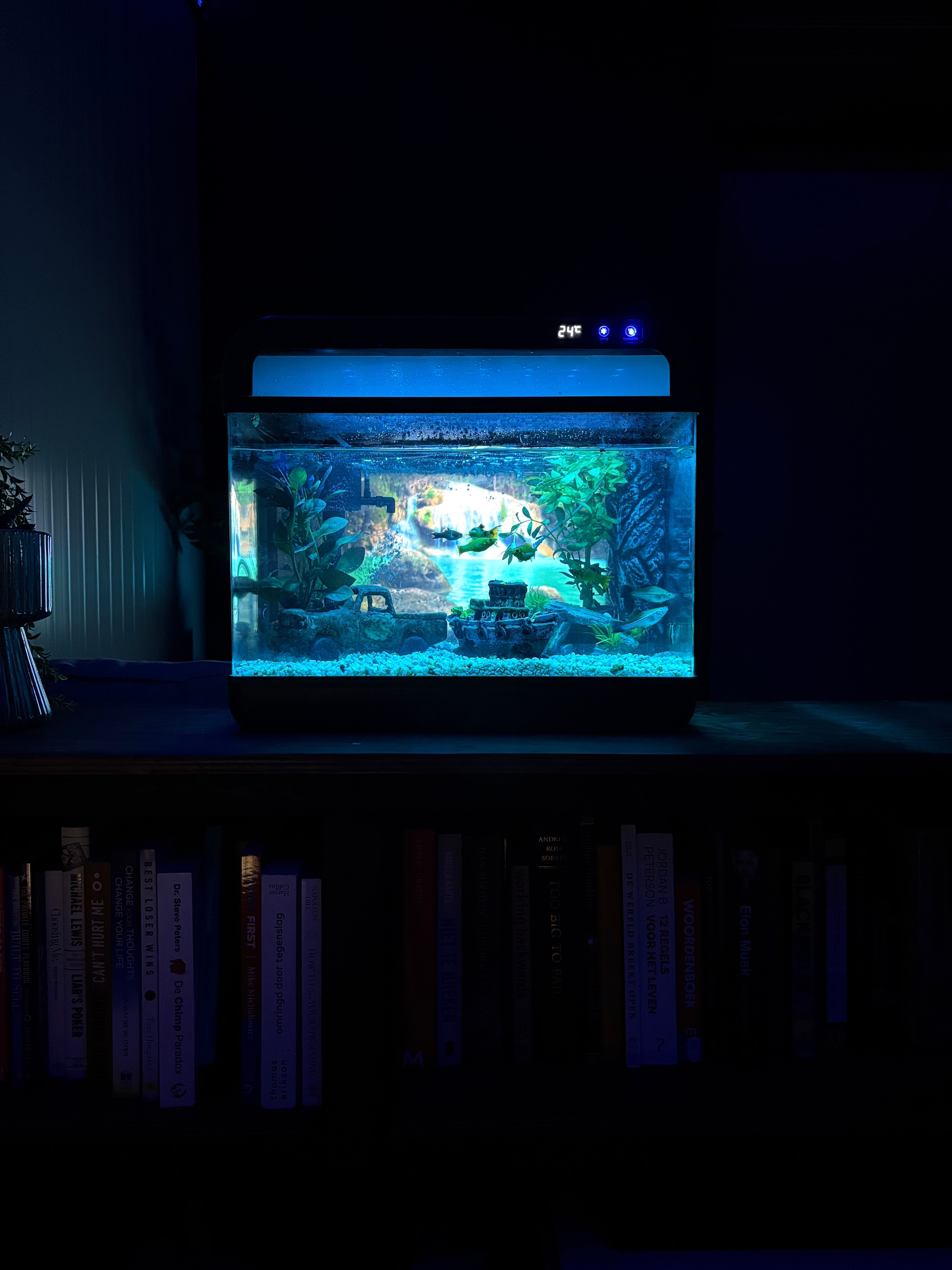 Nano aquarium met blauwe LED verlichting en waterplanten