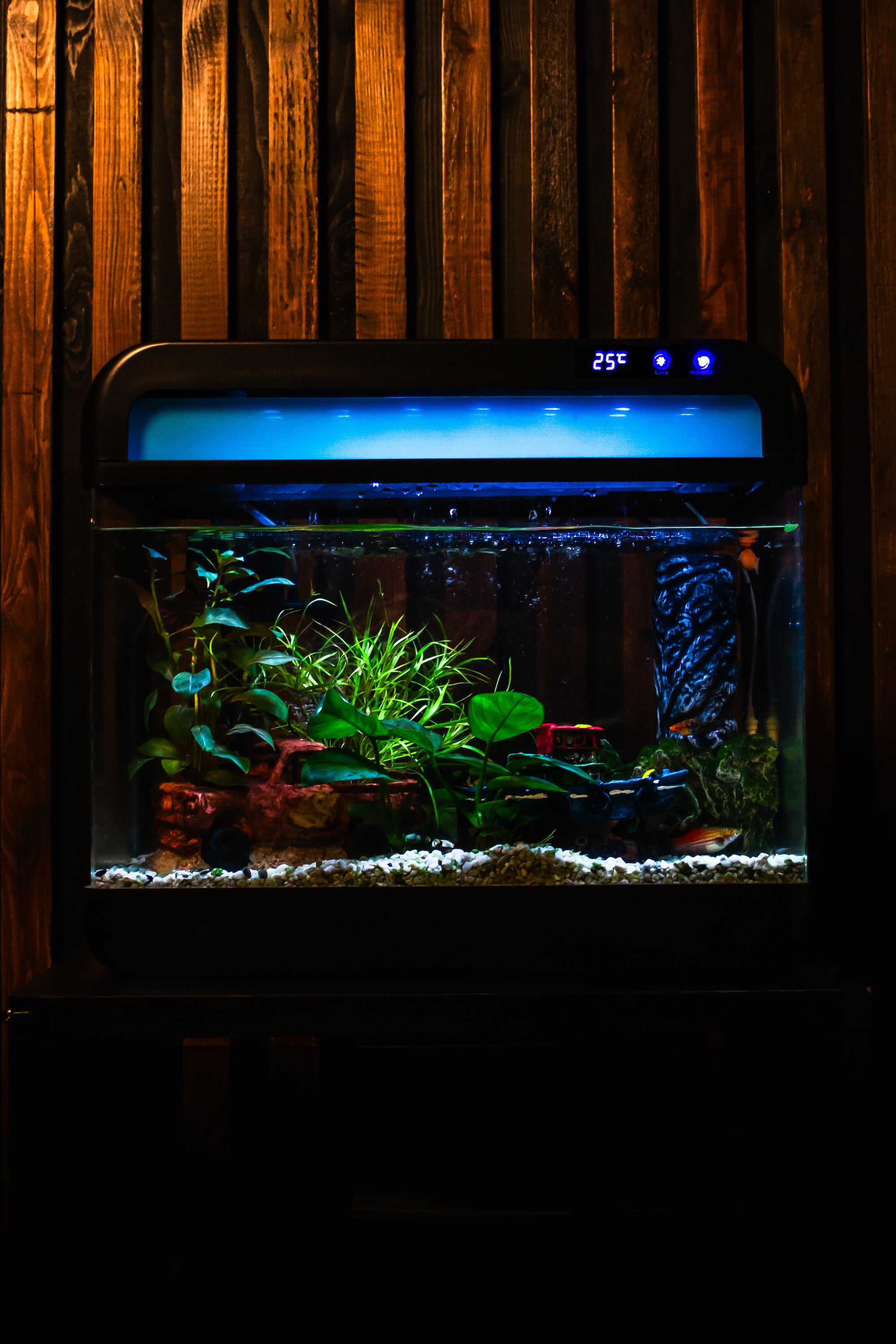 Luxuriöses AquaImpact® Nano-Aquarium (26 l) mit kristallklarem Glas und LED-Beleuchtung