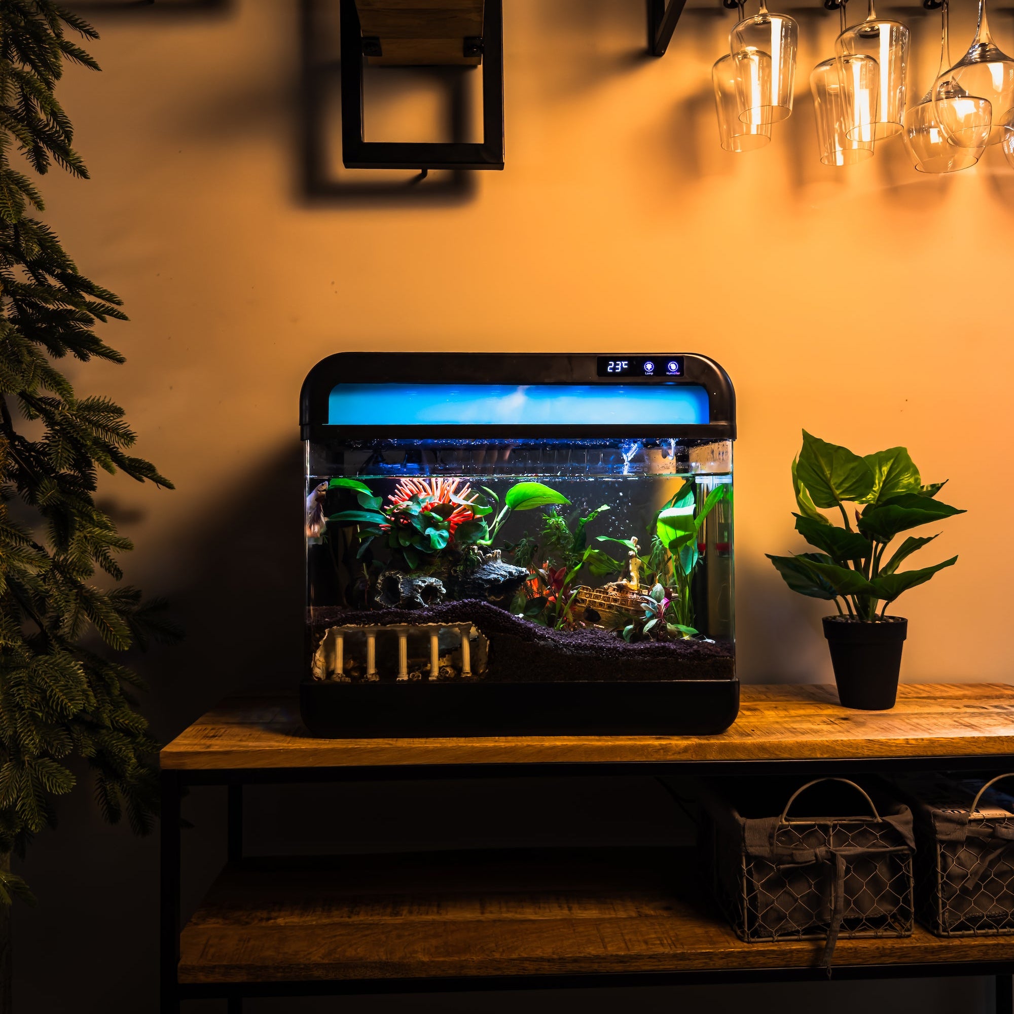 Sfeervol beplant AquaImpact® 26L aquarium als moderne blikvanger in het interieur met warme verlichting