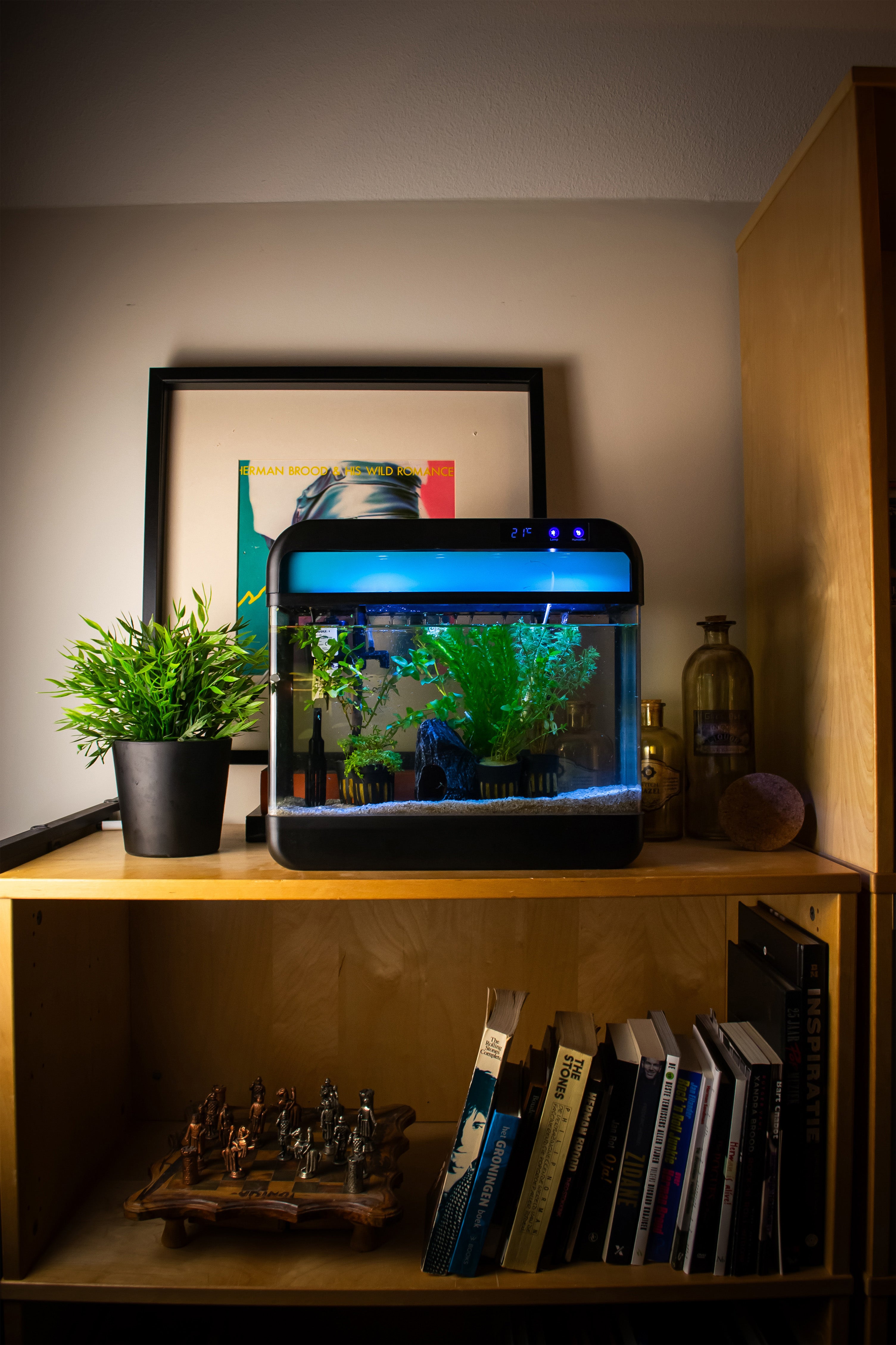 Compact AquaImpact® Nano Aquarium 13 l und 26 l für den Innenbereich