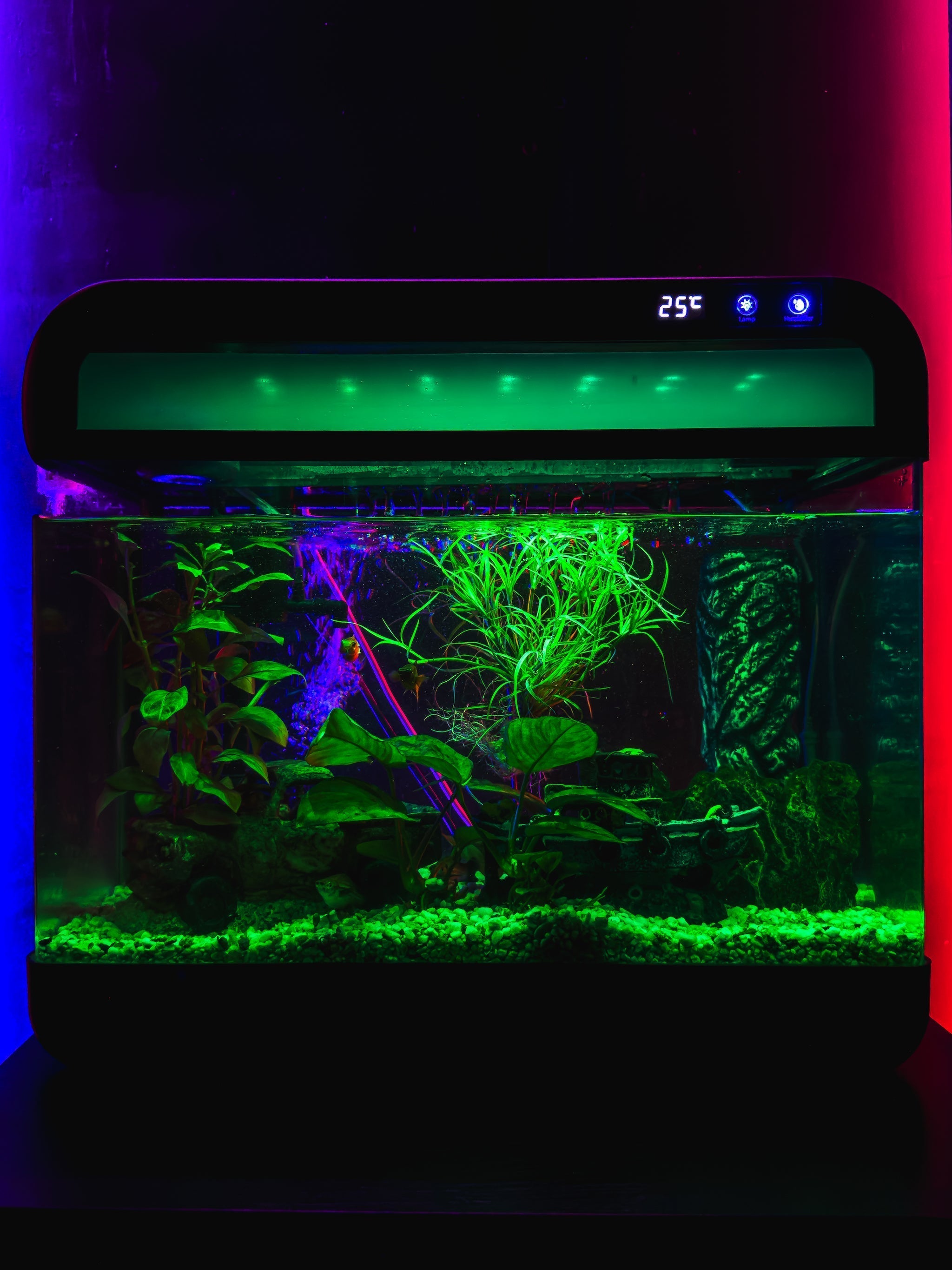 AquaImpact Smart 13L nano aquarium op houten meubel