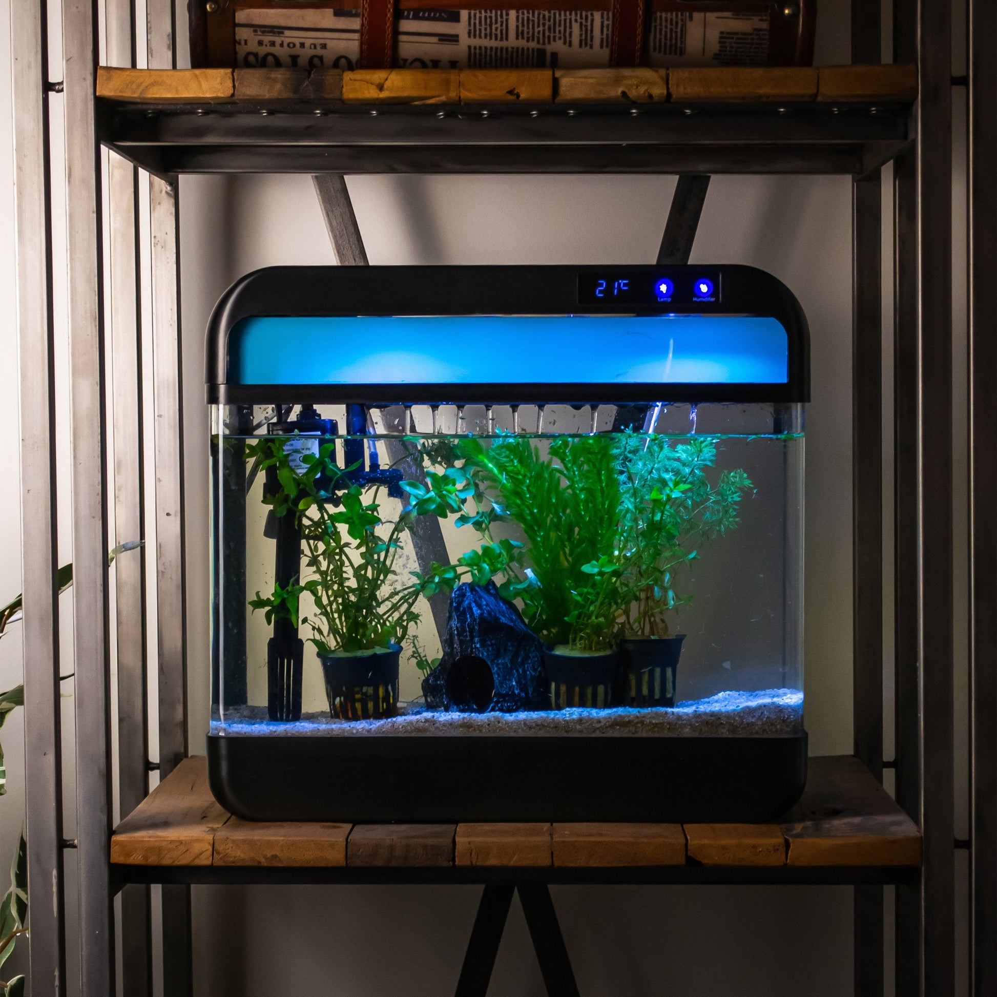 Tropisch aquarium voor beginners en ervaren liefhebbers
