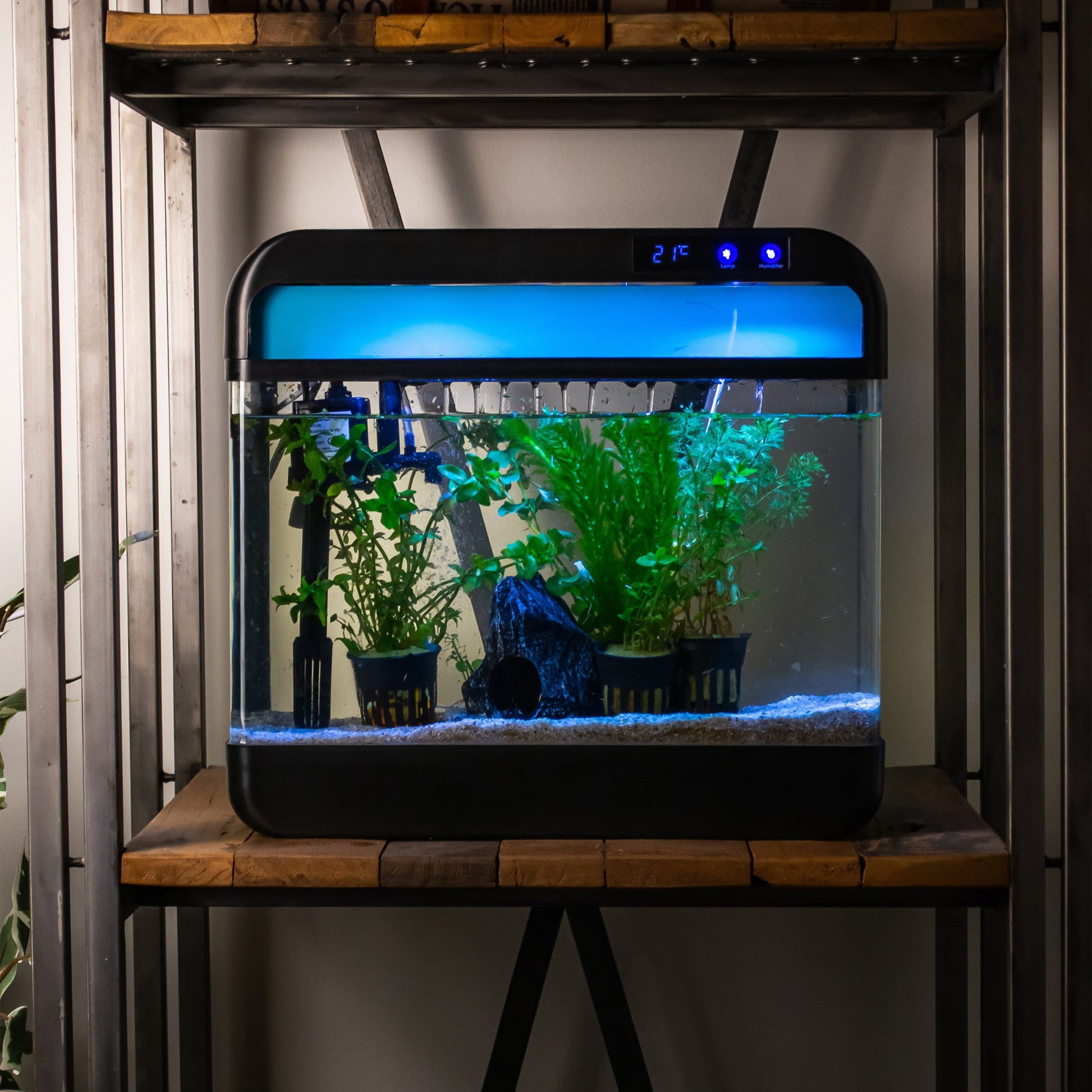Compact aquarium met luchtbevochtiger en stille filterpomp