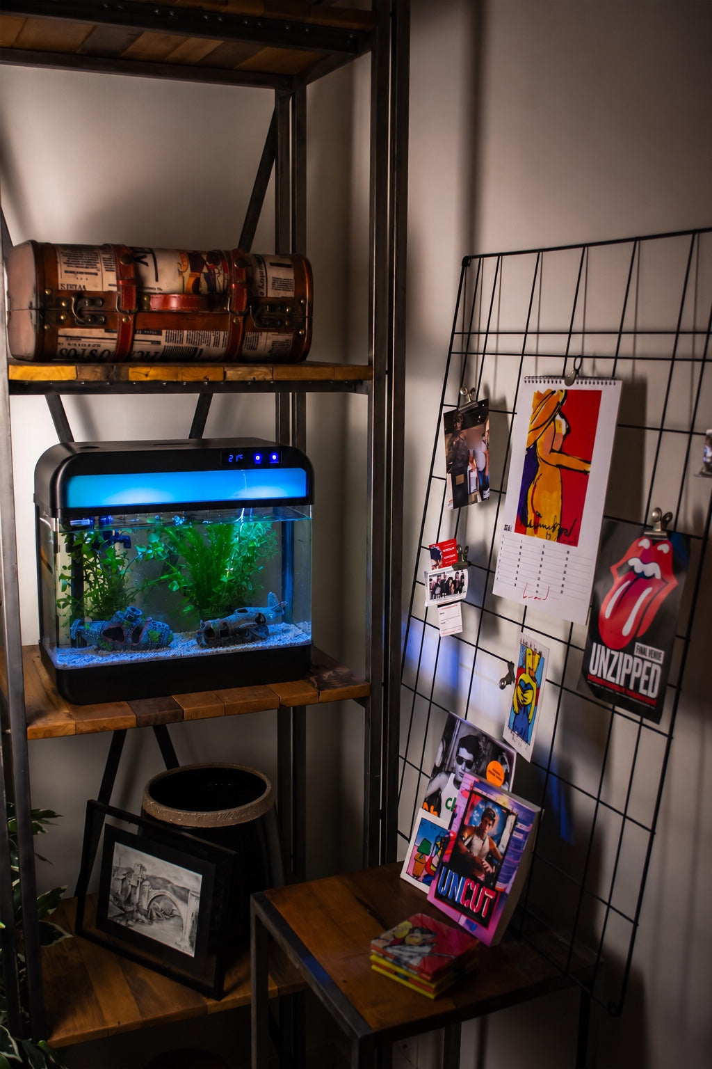 AquaImpact aquarium in huis
