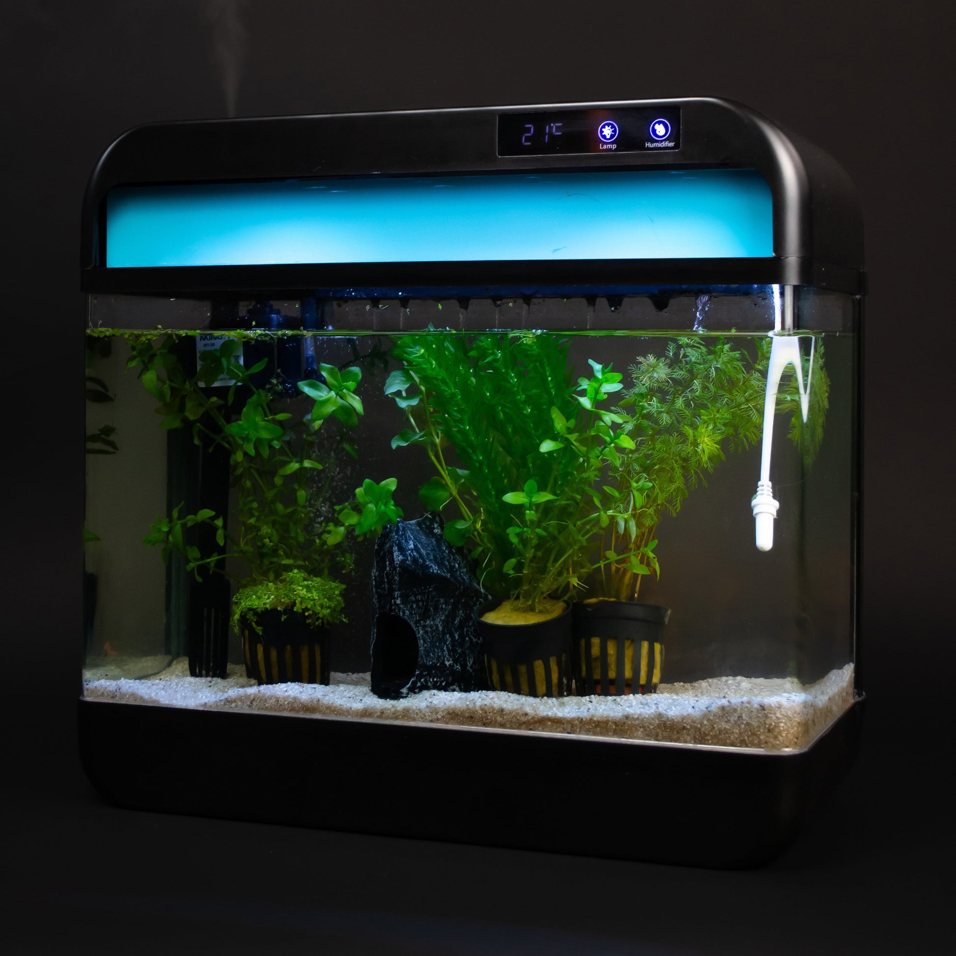 modern zelfreinigend aquarium met ingebouwde waterpomp